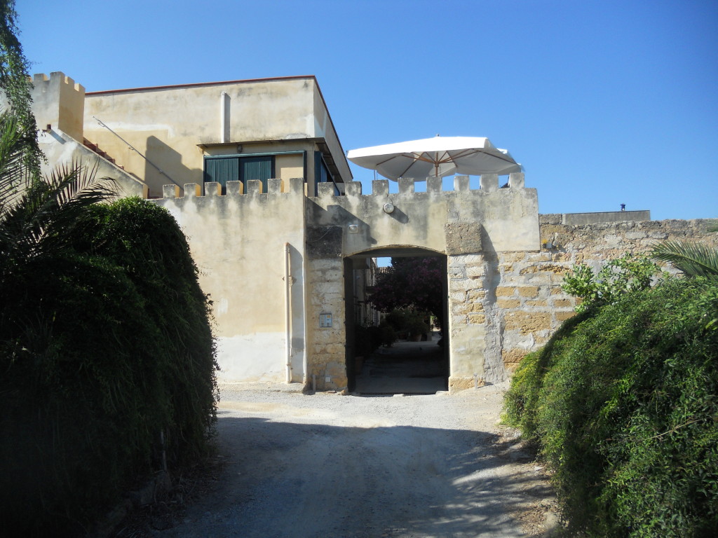DSCN1689