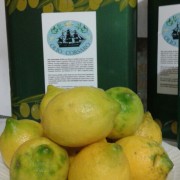 IMG-20160116-WA0047